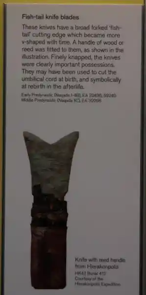 Fish-tail knife blades